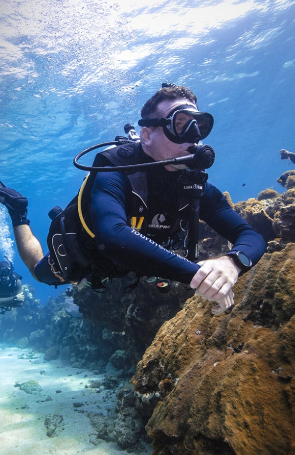PADI Boat Diver Course in Littlehampton, listing photo