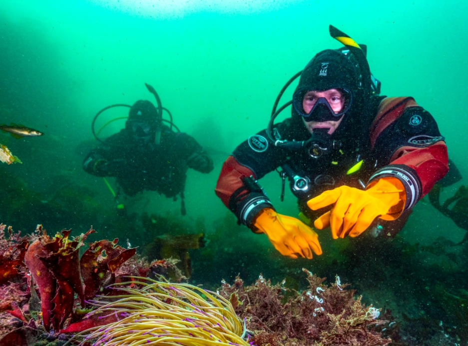PADI Open Water Diver Course in Littlehampton gallery 4