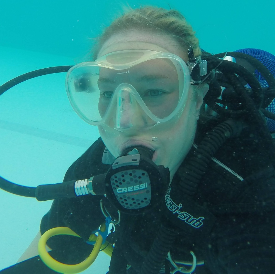 Beginner to Pro Diving Course with PADI Dive Centre in Littlehampton gallery 5