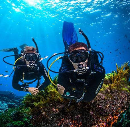 PADI Master Scuba Diver Course in Littlehampton gallery 3