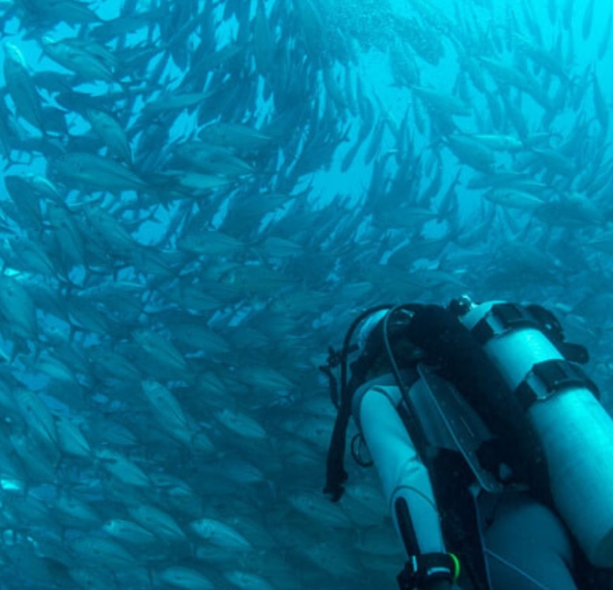 PADI Boat Diver Course in Littlehampton gallery 2