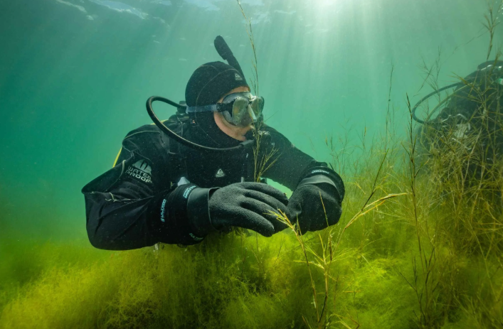 PADI Self-Reliant Diver Course in Littlehampton, photo 2
