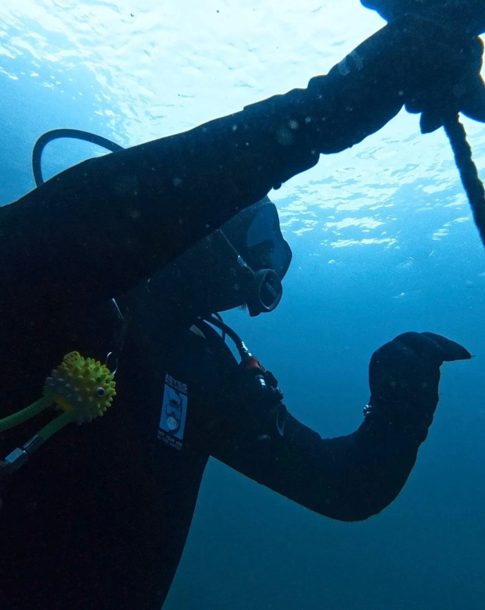 PADI Deep Diver Course in Littlehampton, listing photo