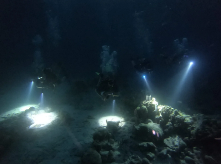 PADI Night Diver Course in Littlehampton gallery 2