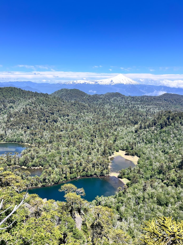 El Cañi Reserve Hike in Pucón, Chile, listing photo