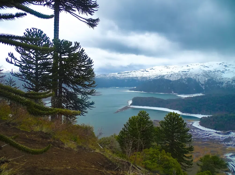 Conguillio National Park Hike In Puc n Chile Adventuro