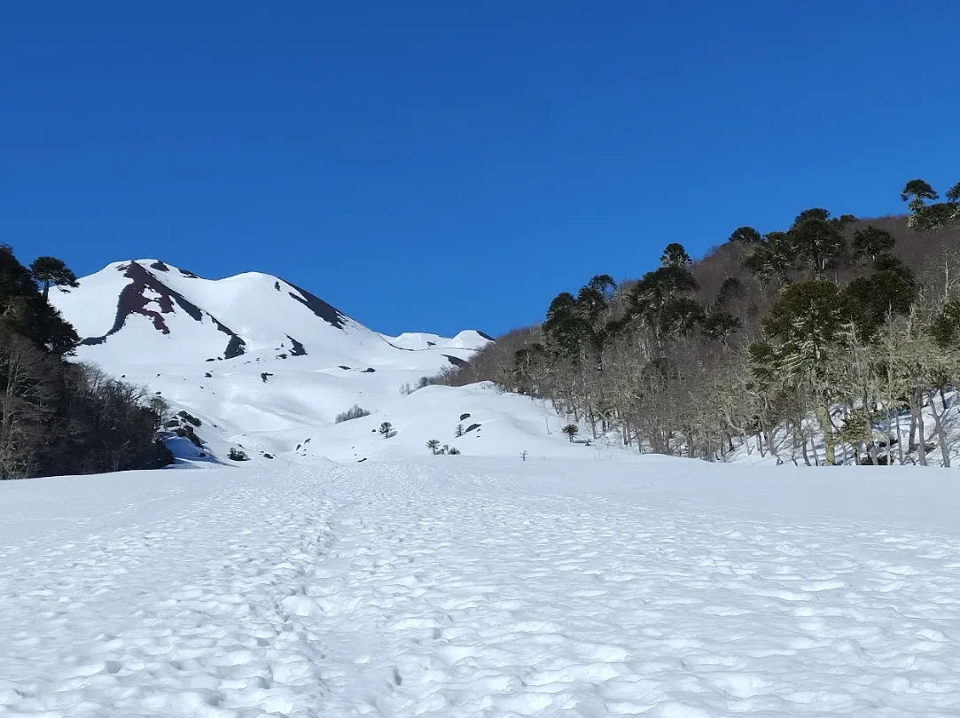 Sollipulli Volcano Ascent in Pucón, Chile, photo 2