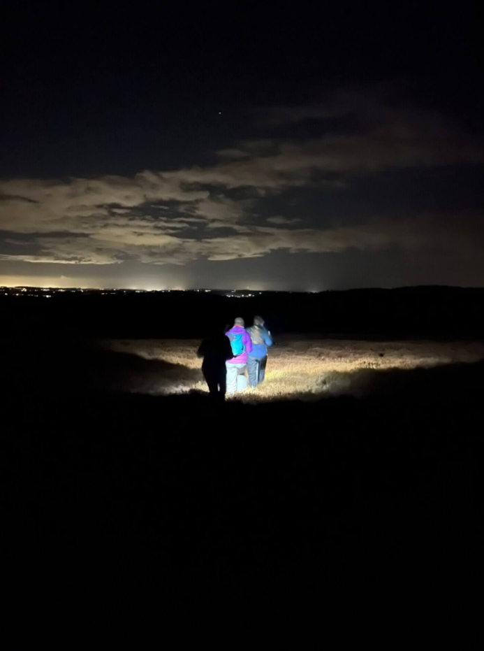 Night Navigation Skills Course in Hamsterley Forest, photo 4