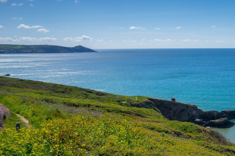 Adult Sailing and Wild Swimming Day from Plymouth – 11 August 2026, photo 5