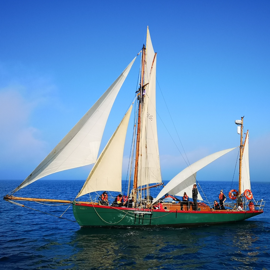 Adult Sailing and Wild Swimming Day from Plymouth – 11 August 2026, photo 4