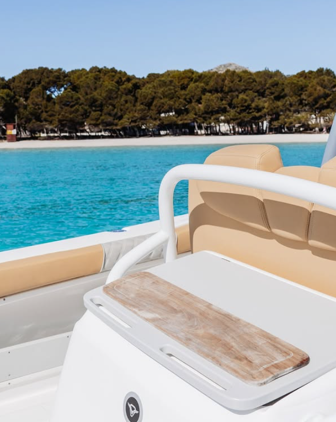 VIP Jet Ski Tour of Serra de Tramuntana, Andratx gallery 2