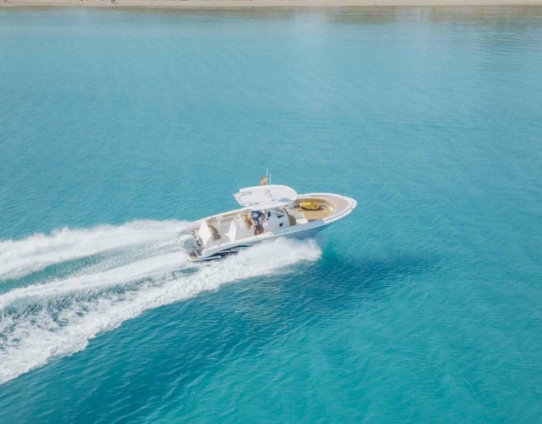 Alcudia Powerboat Charter – Pronautica 880 Open Sport, photo 2