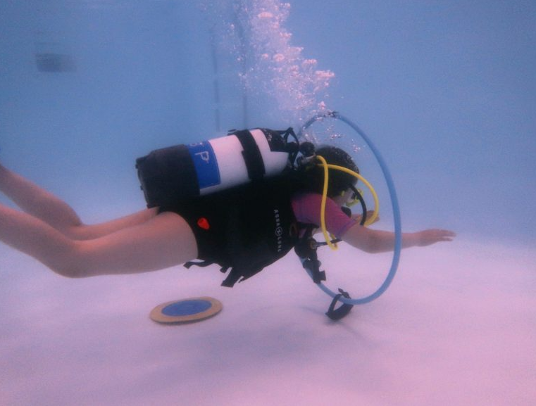 Try Dive in Seaton Deleval gallery 6