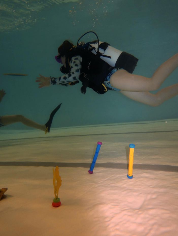 Try Dive in Seaton Deleval gallery 9