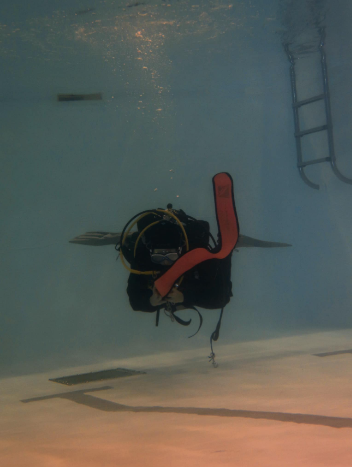 Scuba Refresher in Seaton Deleval gallery 4