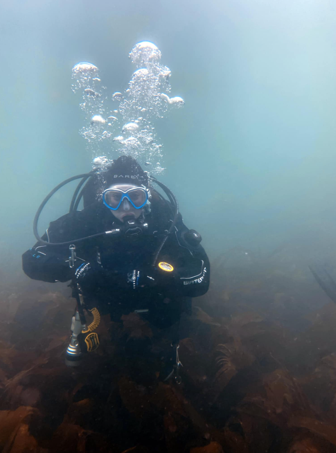 Scuba Diver in Gosforth gallery 5