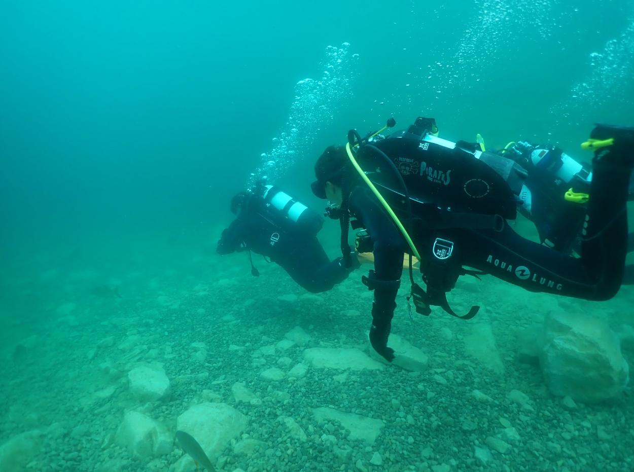 Deep 40 Diver in Gosforth gallery 7