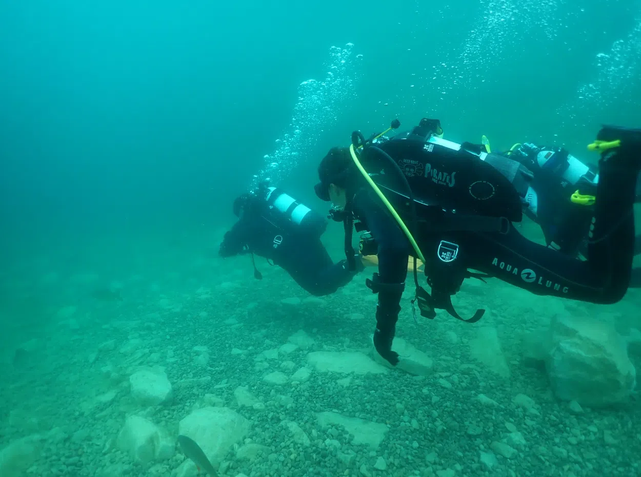 Performance Diver in Gosforth, photo 5