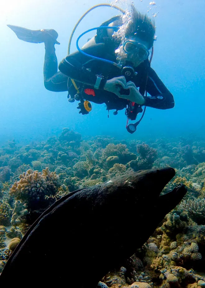 Performance Diver in Gosforth, photo 2