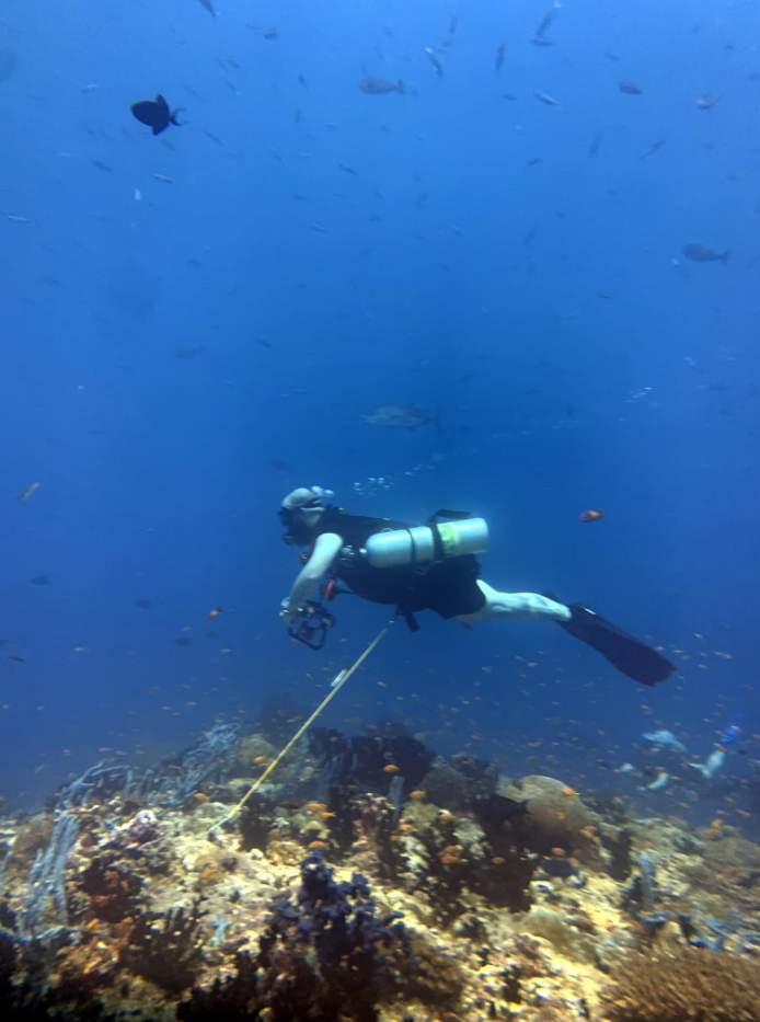 Sidemount Diver in Gosforth, photo 3