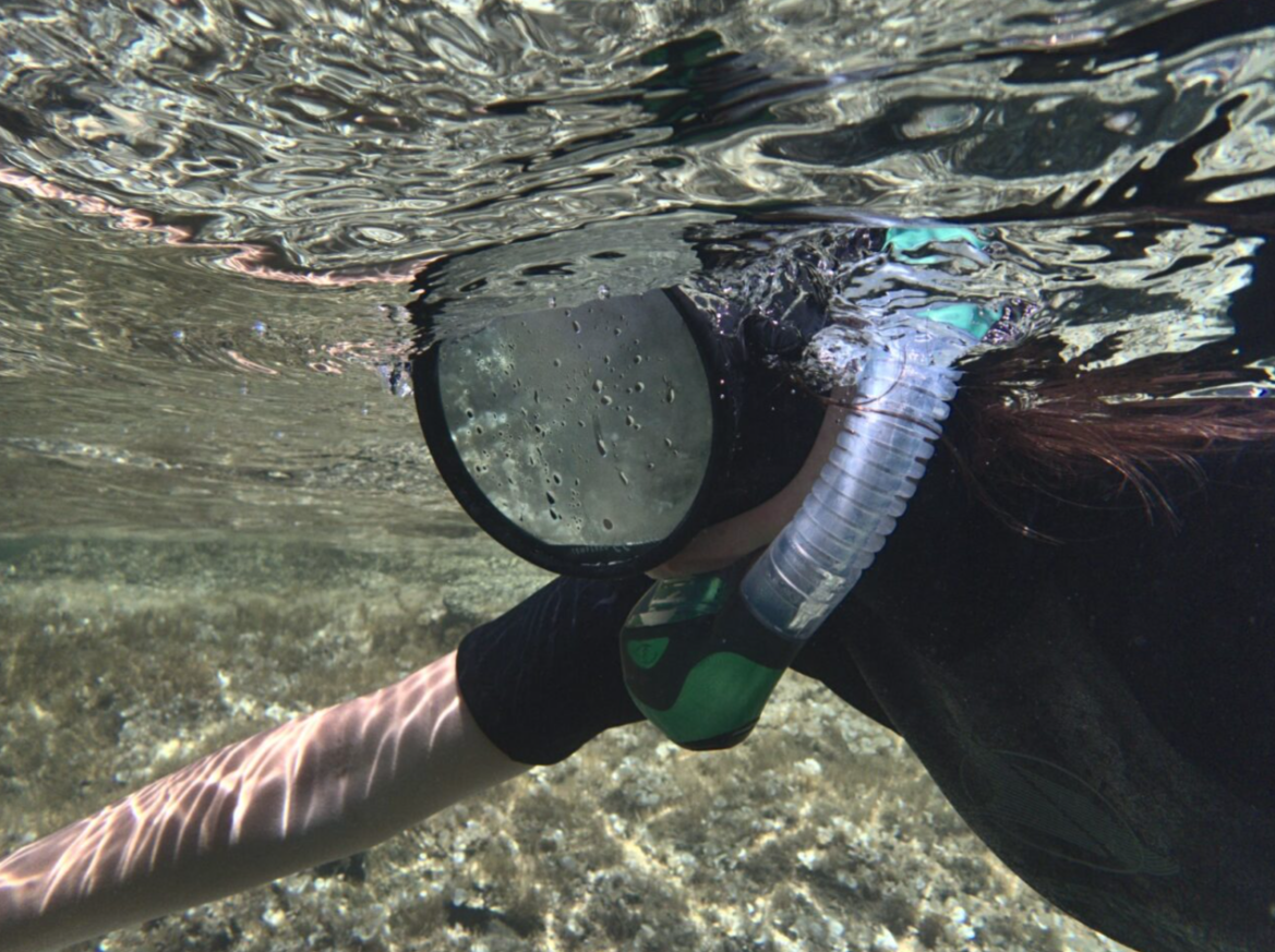 Private Snorkel Guiding in Menorca, listing photo