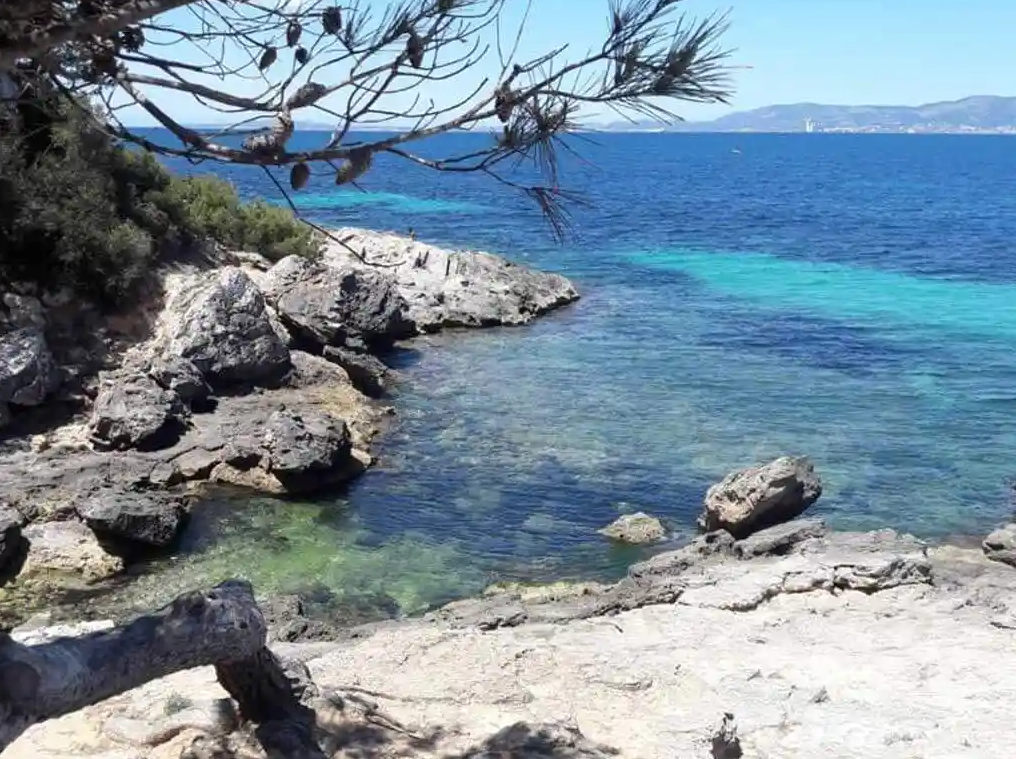 Mallorca Winter Quad Bike Tour gallery 4