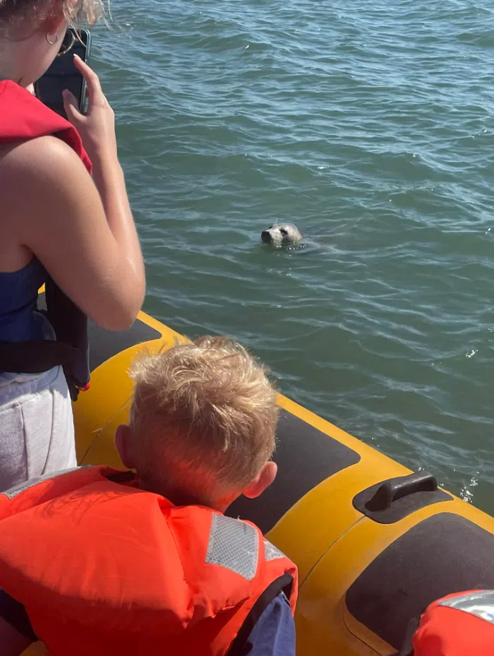 Seal Boat Trips to Scroby Sands in Lowestoft, photo 4