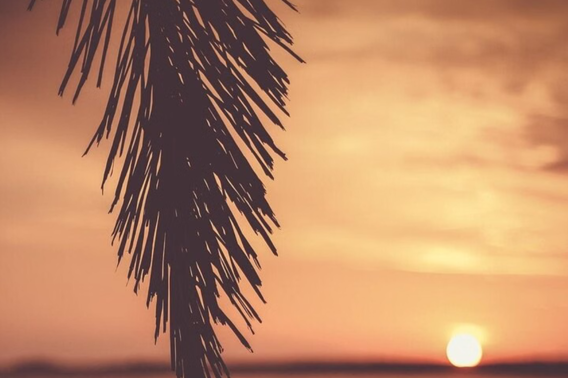 Sunset Paddleboard (SUP) Tour, Javea gallery 2