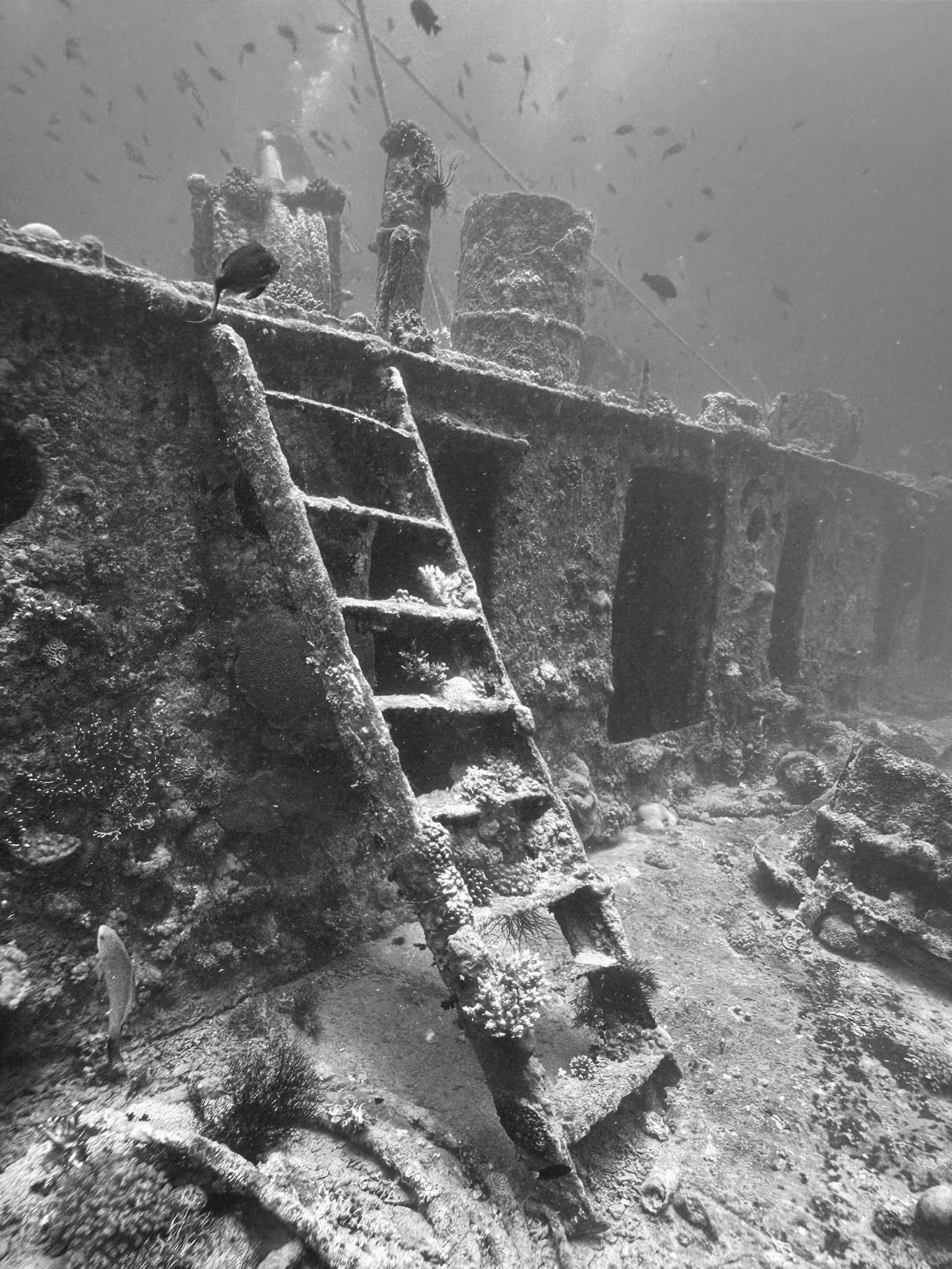 Advanced Wreck Diver in Gosforth gallery 11