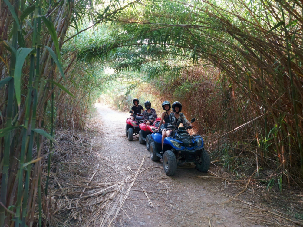 Mountain and Jungle Quad Biking Tour in Costa Blanca, photo 3