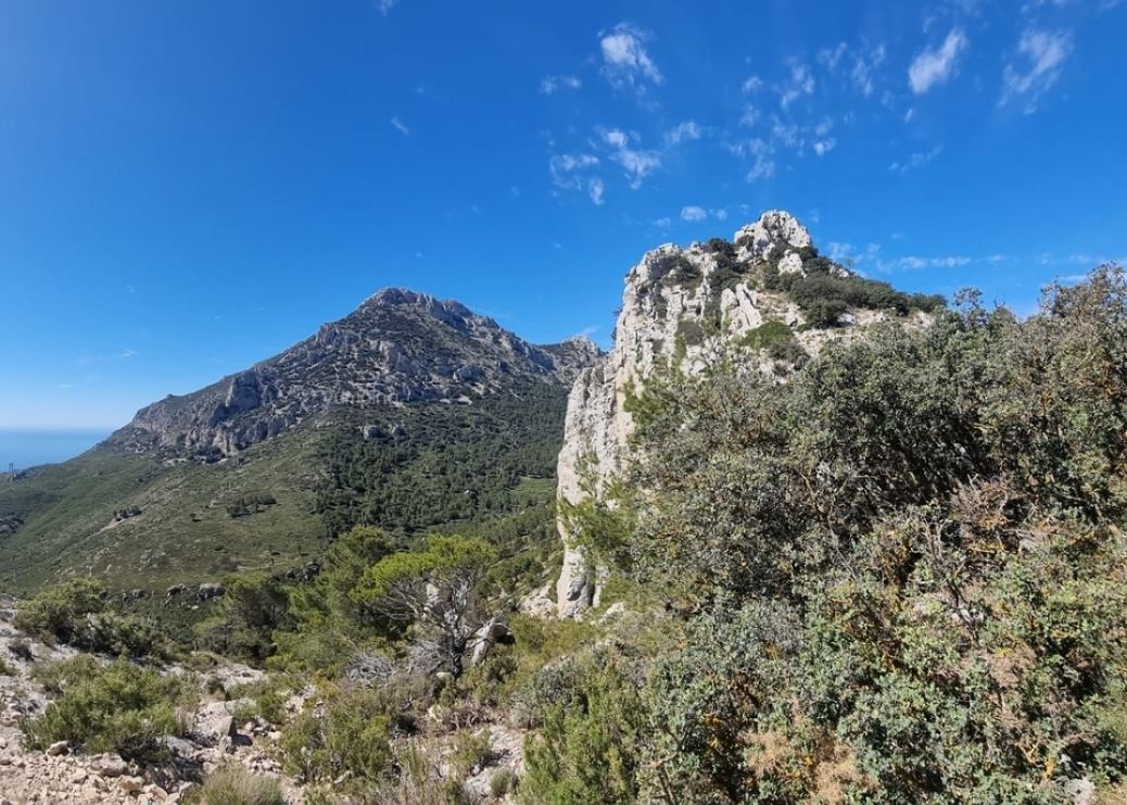 Mountain and Jungle Quad Biking Tour in Costa Blanca gallery 4