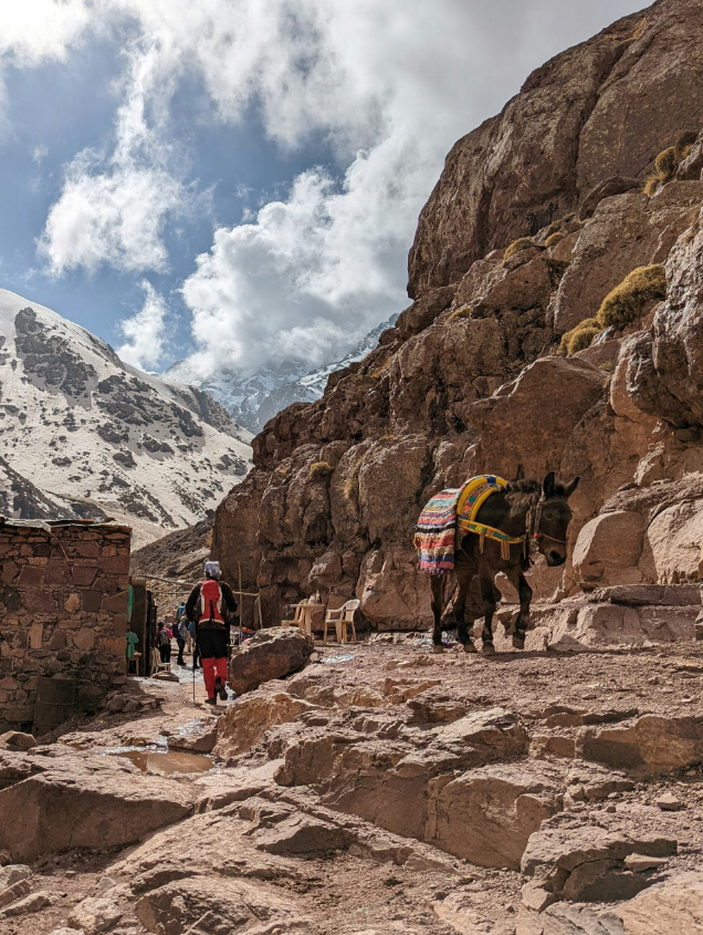 5 Day Private Mount Toubkal & Sahara Desert Adventure, listing photo