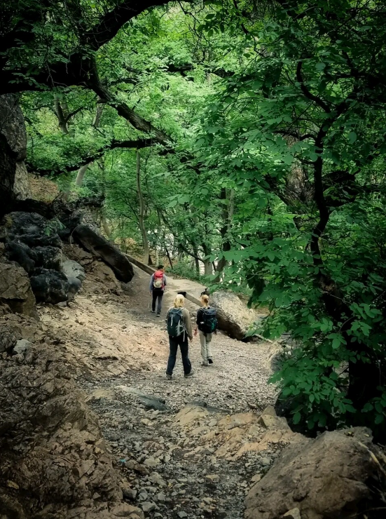 Two-Day Atlas Mountains Hike with Imlil Valley Stay, photo 2