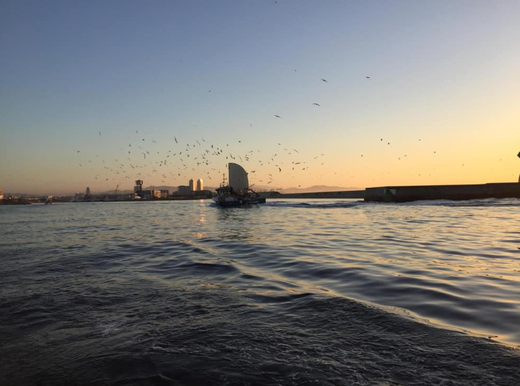 Sunset Sailing Cruise in Barcelona gallery 2