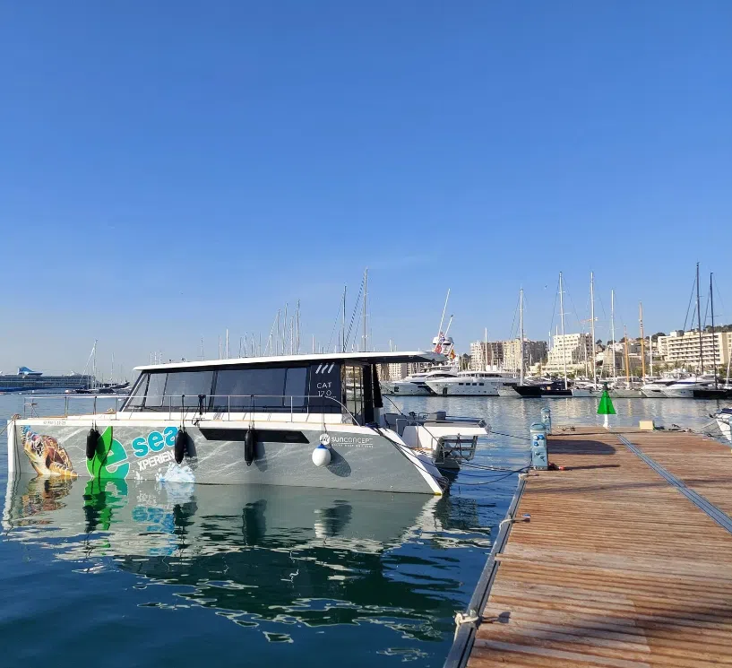 Eco Catamaran Experience in Palma, photo 2
