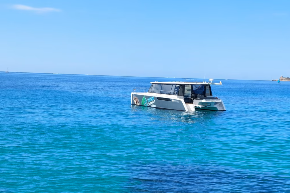 Eco Catamaran Experience in Palma gallery 2