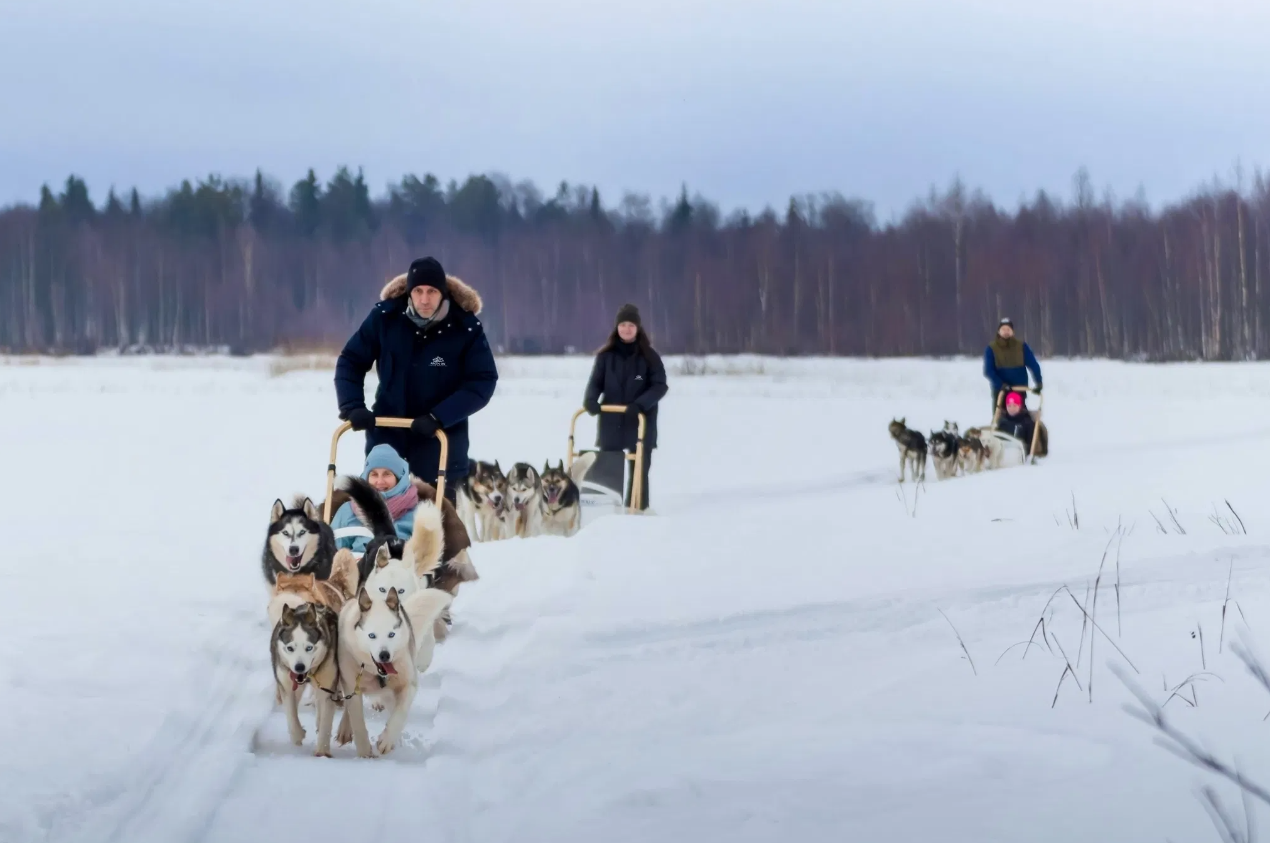 Husky Safari Winter Tour and Barbecue in Rovaniemi gallery 9