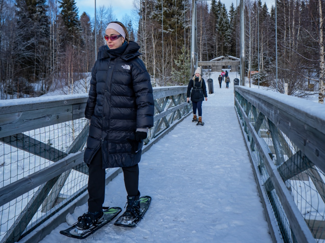 Snowshoe Adventure and Barbecue at Vikaköngäs, listing photo