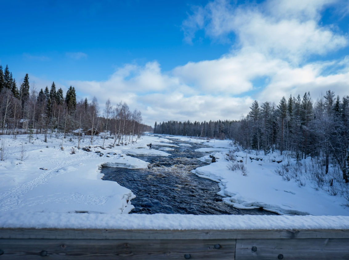 Snowshoe Adventure and Barbecue at Vikaköngäs, photo 5