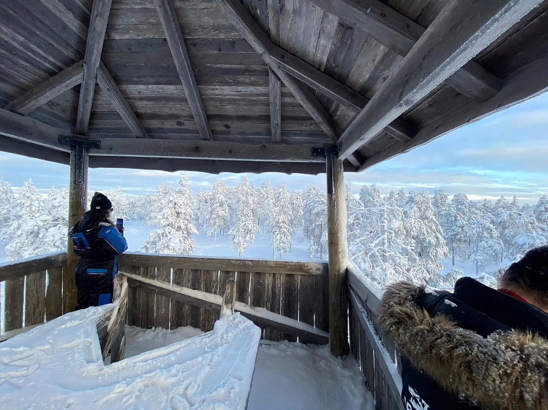 Snowshoe Adventure and Barbecue at Vikaköngäs, photo 4
