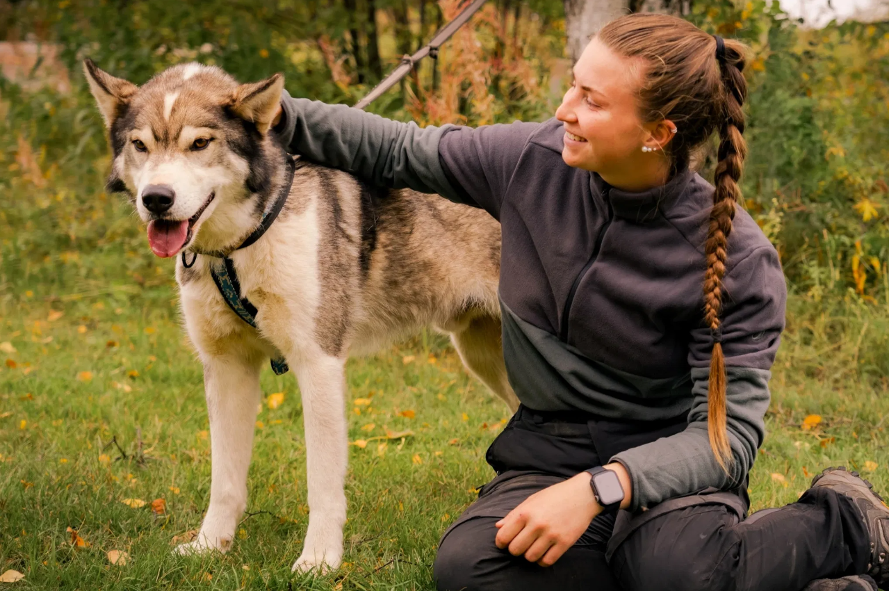 Autumn Husky Safari and Barbecue Experience in Rovaniemi gallery 2