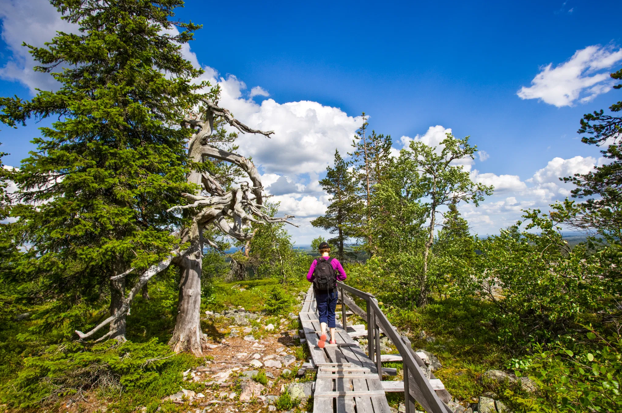Korouoma Canyon Hike and Barbecue in Rovaniemi, listing photo