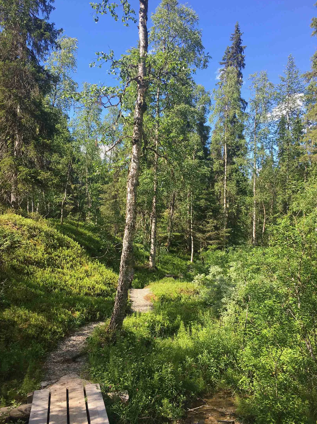 Korouoma Canyon Hike and Barbecue in Rovaniemi gallery 2