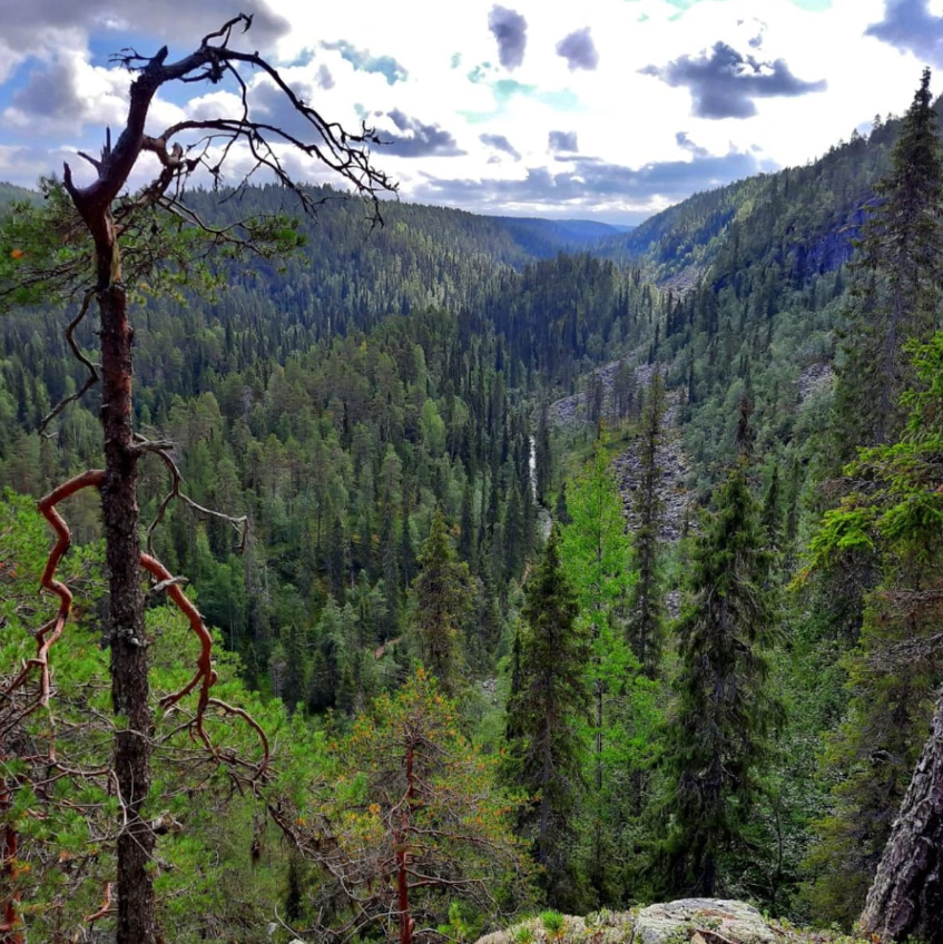 Korouoma Canyon Hike and Barbecue in Rovaniemi gallery 3