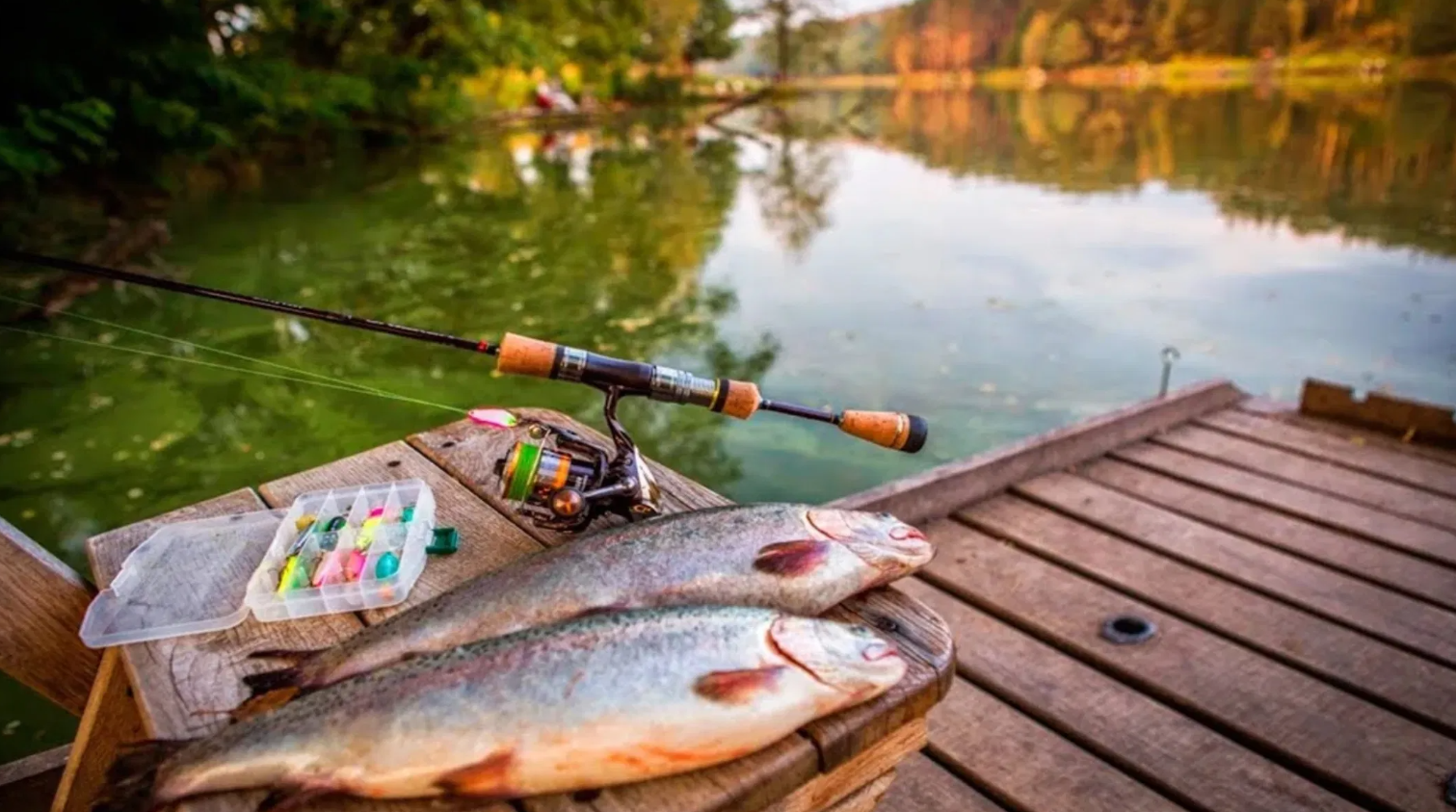 Summer and Autumn Fishing Experience in Rovaniemi gallery 4