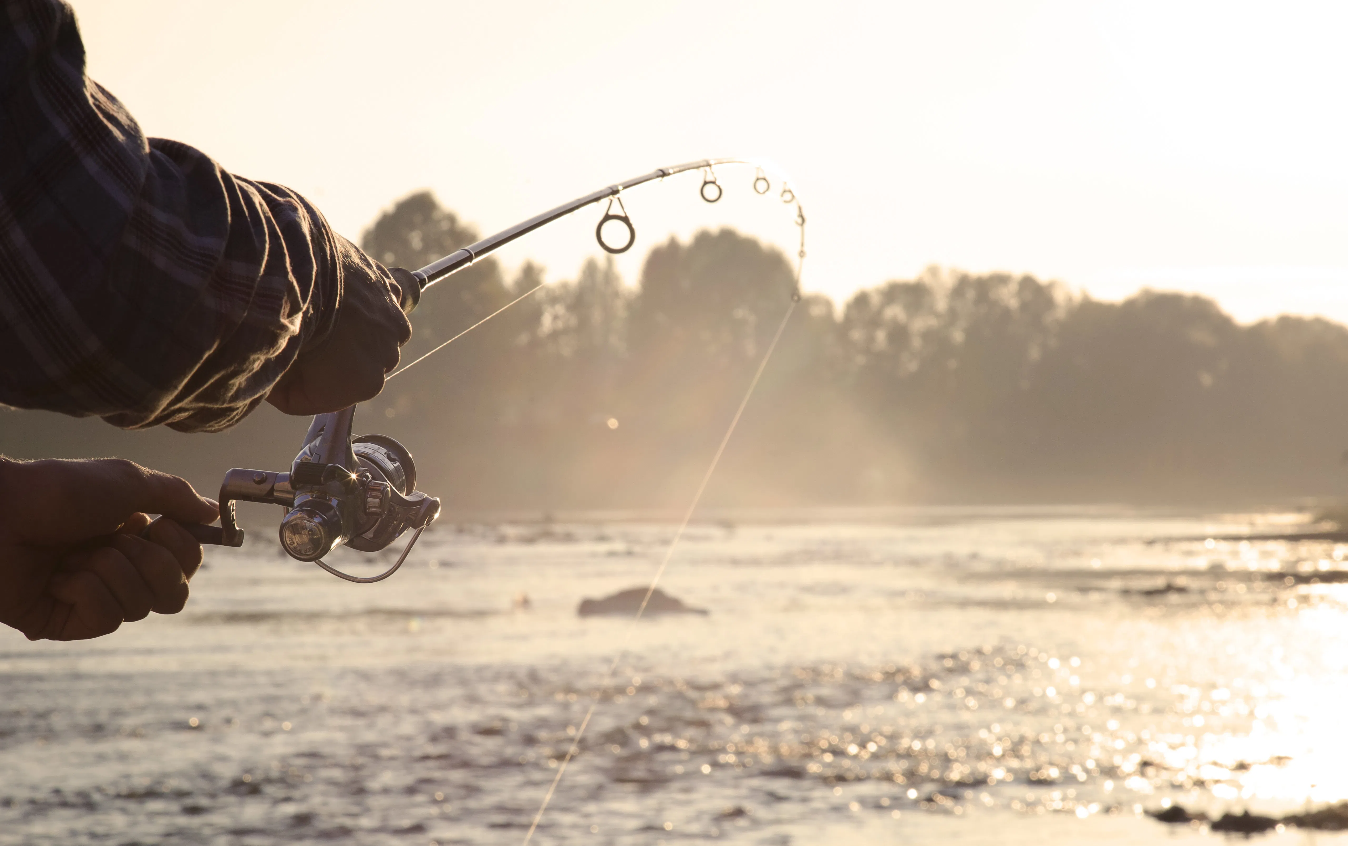 Summer and Autumn Fishing Experience in Rovaniemi gallery 5