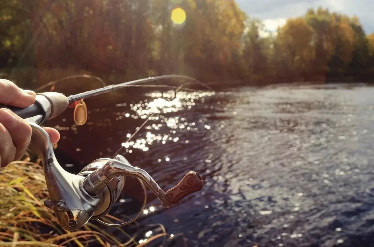 Summer and Autumn Fishing Experience in Rovaniemi gallery 6