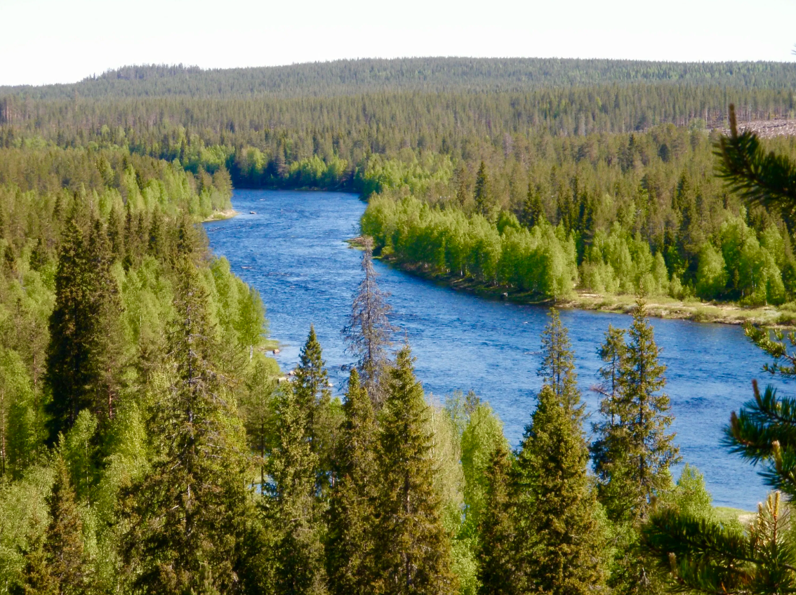 Summer and Autumn Fishing Experience in Rovaniemi, photo 5