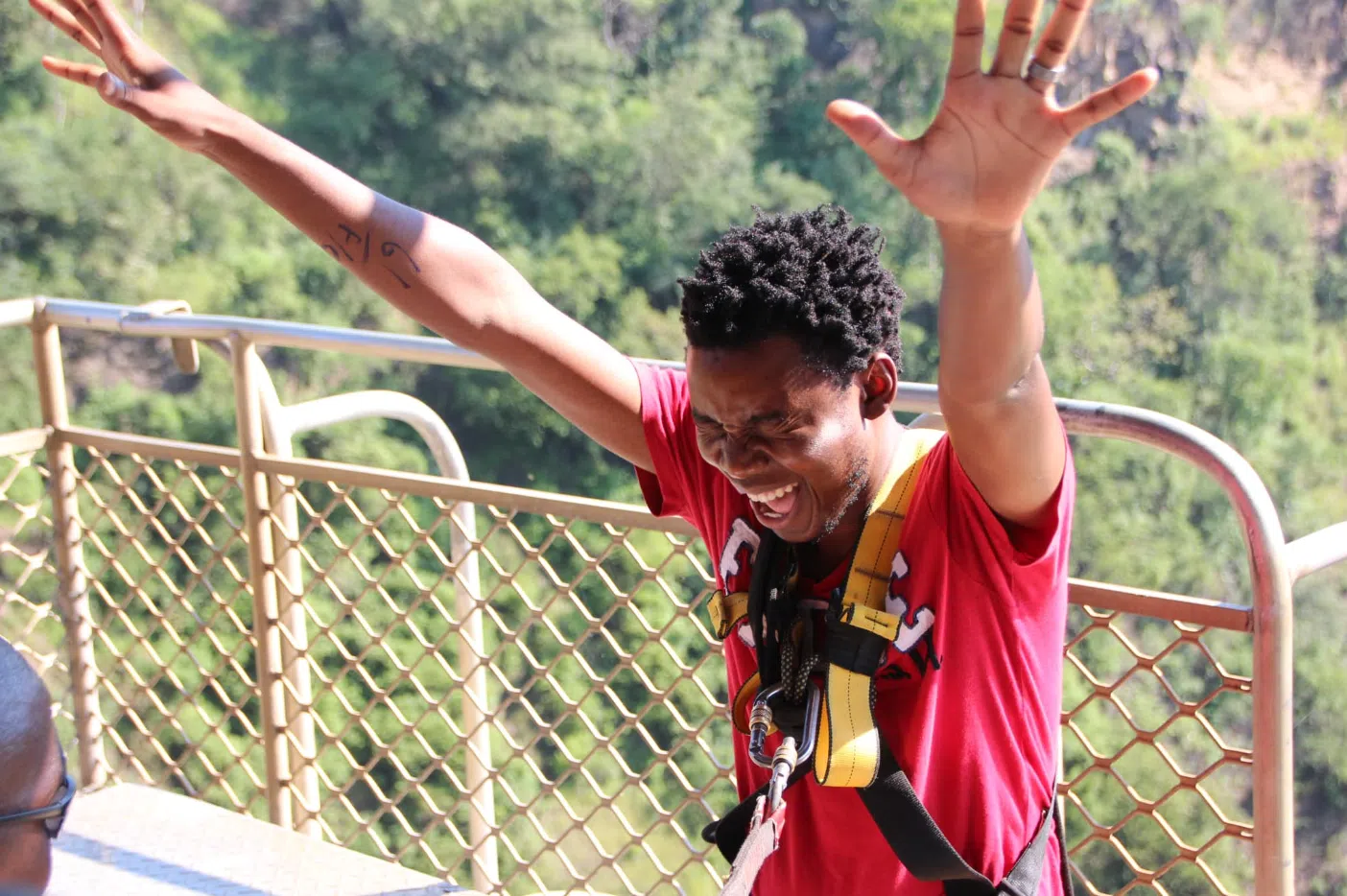 Bungee Jumping at Victoria Falls gallery 4