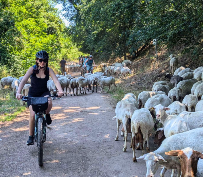 Bike & E-Bike Rental in Appia Antica, Rome gallery 4
